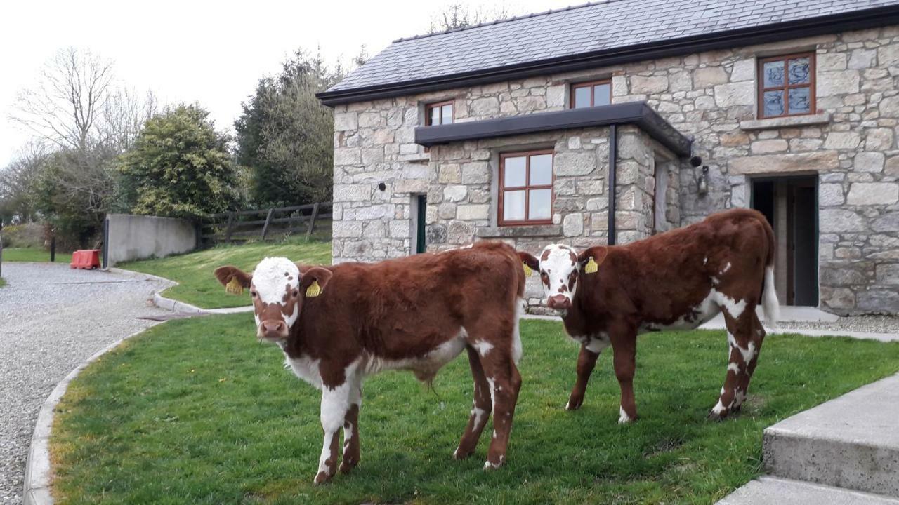 Green Adventure Ecohostel Clonmore Экстерьер фото